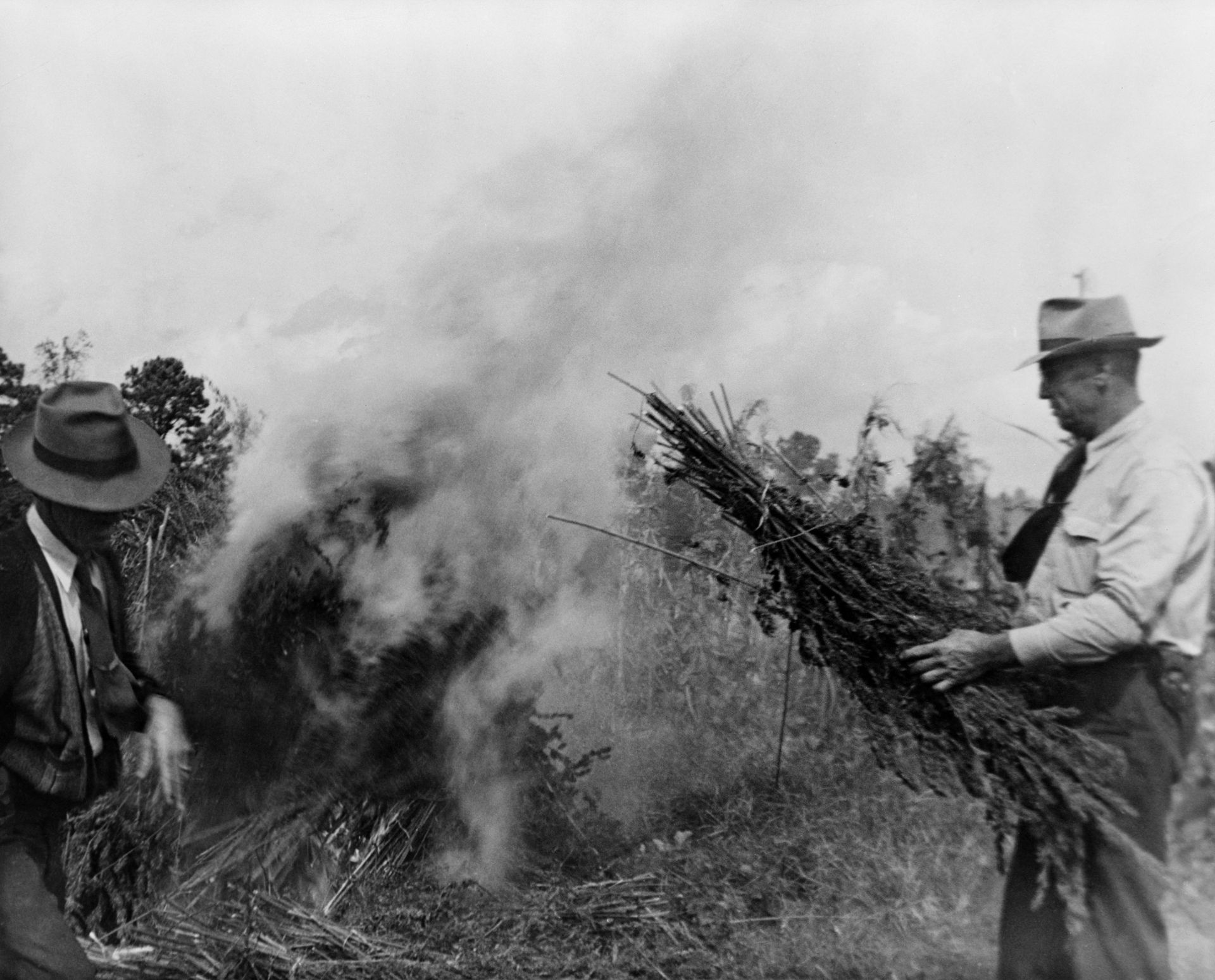 A lot of misinformation and even prejudice led to the illegalization of the drug back in the 1900s.