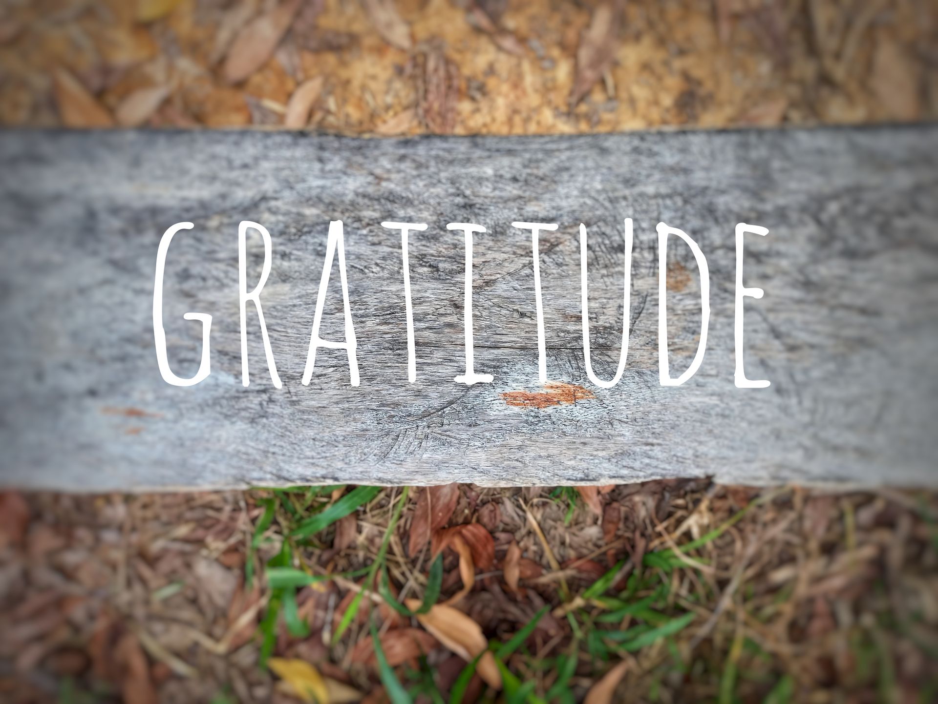 Gratitude is as simple as being thankful.